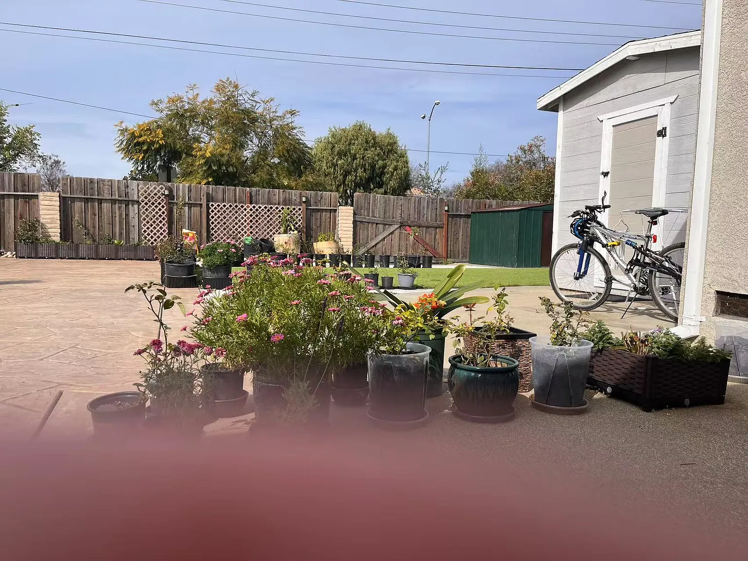 2903 Daisy St — Photo 3