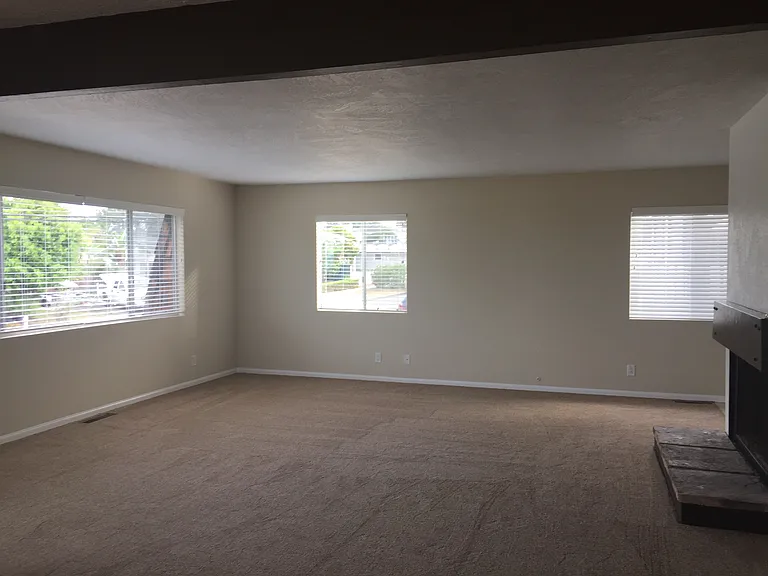 Large living room
