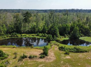 34180 Perkins Rd, Denham Springs, LA 70706