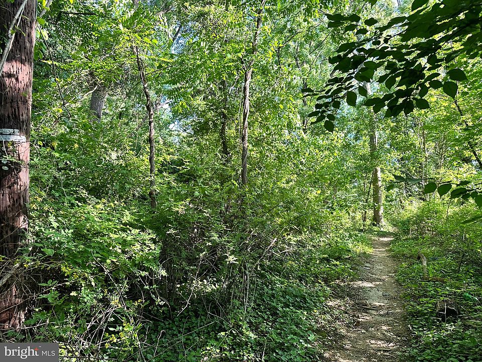 2nd image of Bryan Avenue Lot #81