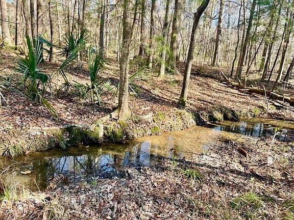 5th image of 15 Hope Plantation Ln