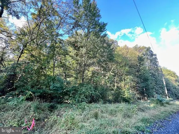 0 Short Mountain Rd, Edinburg, VA 22824