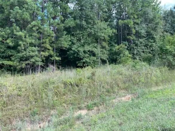 0 Hubbard St, Brent, AL 35034