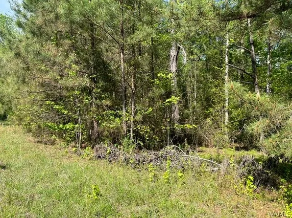 0 Doe Run Rd, Centreville, AL 35042