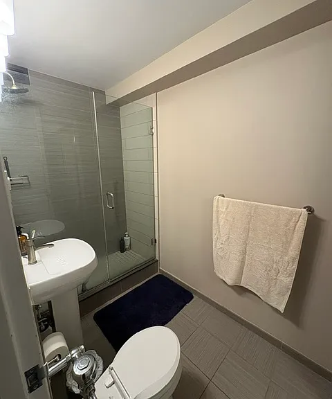 900 N Lake Shore Dr #1106 — Photo 13