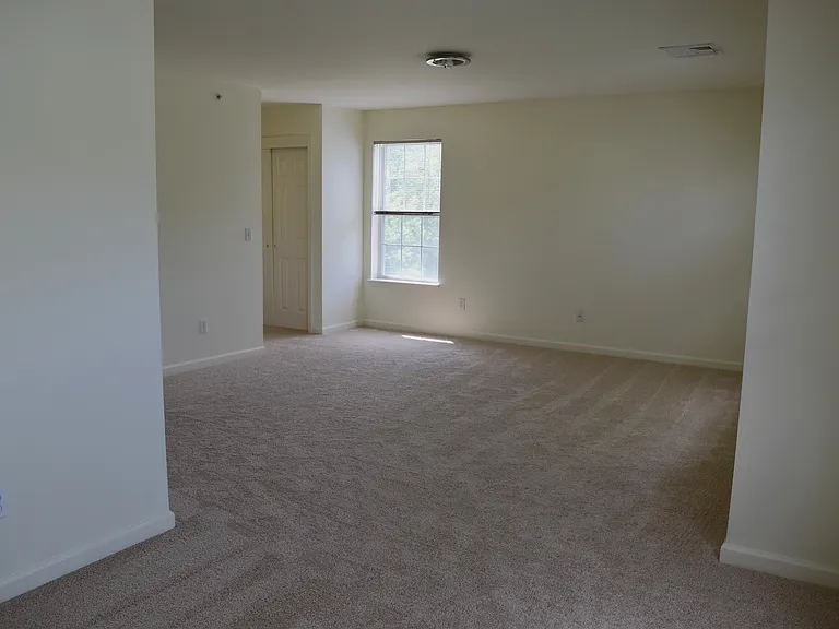 1165 Maggie Rd — Photo 14