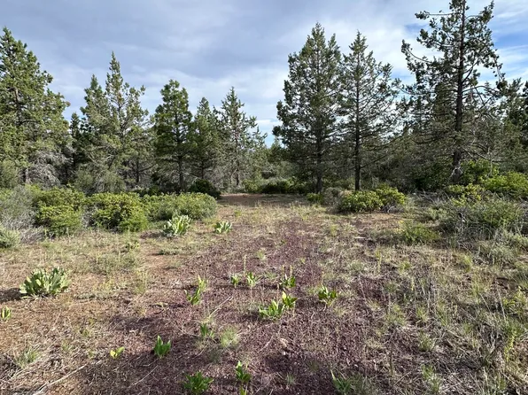 Porpoise Ln Lot 29, Bonanza, OR 97623