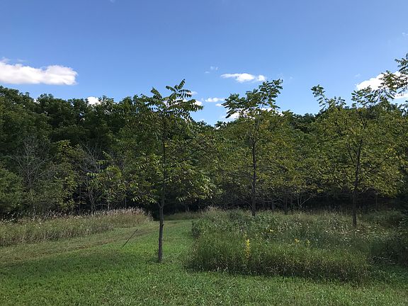 4th image of 727 W Shore Dr
