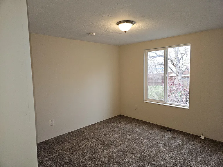 9699 Silver Dollar Ln — Photo 4