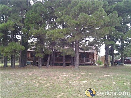 Beautiful tall pine trees Enter Photo Caption