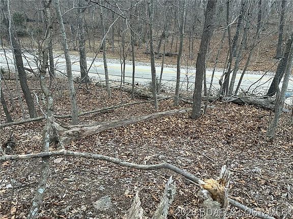 3rd image of 116 Veronica Ln