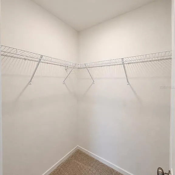 427 Artemis St — Photo 8