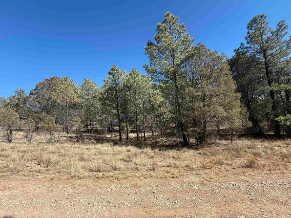 Eldrado Dr, Timberon, NM 88350