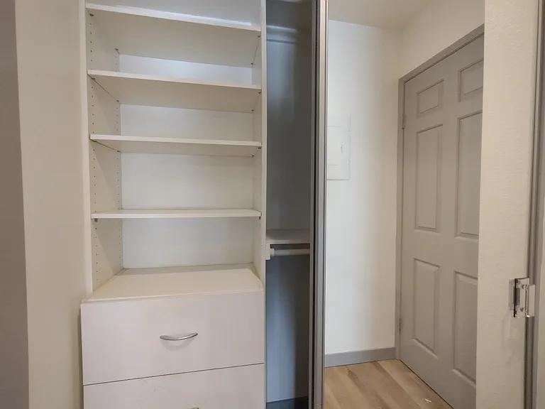 Mirrored closet #3