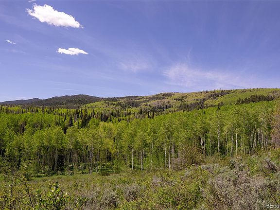 4th image of Various Silver Fox Trail