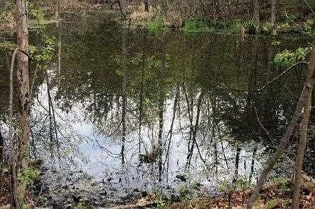 2nd image of Church Ave