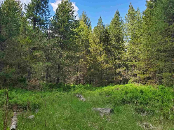 0 N Nicole Ln, Elk, WA 99009