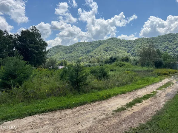 220 Sanctuary Dr, Hiltons, VA 24258