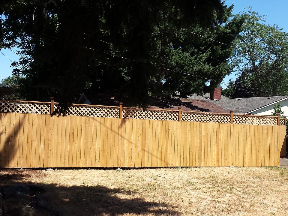 east wall of the backyard fence