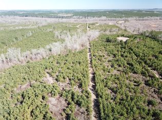 0 Off Hwy #517, Gibsland, LA 71028