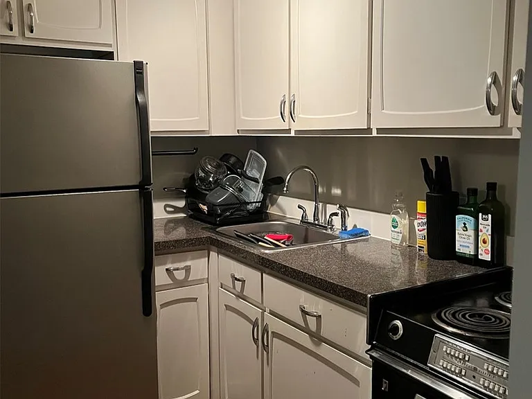 777 N Michigan Ave #1504 — Photo 9