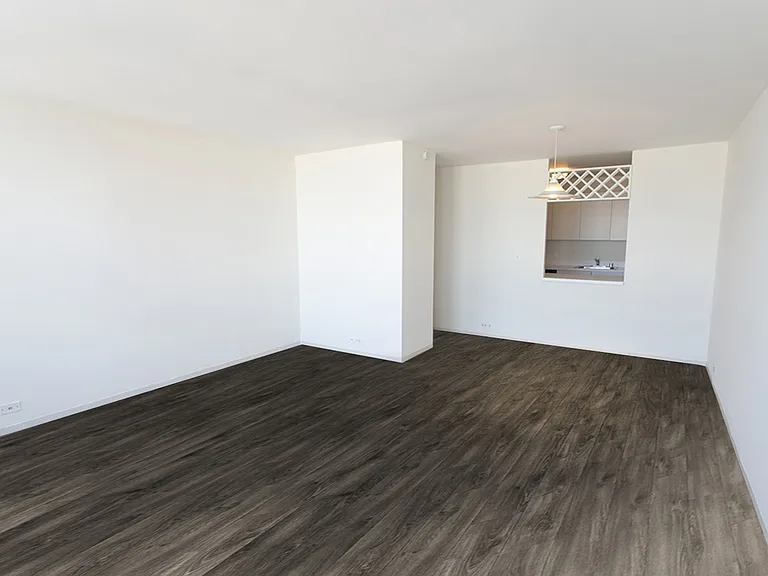 Dining/Living room