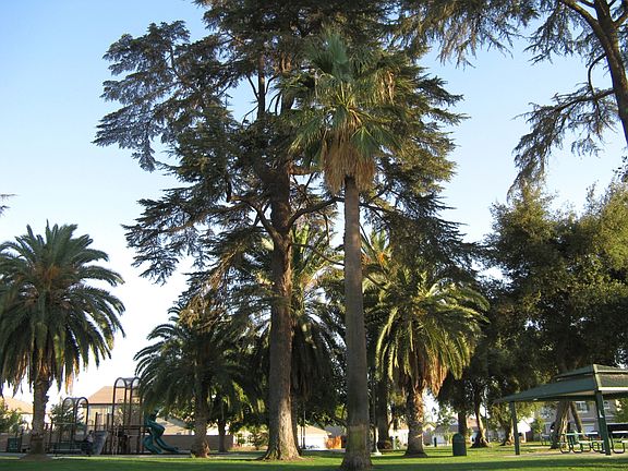2nd Neighborhood Park