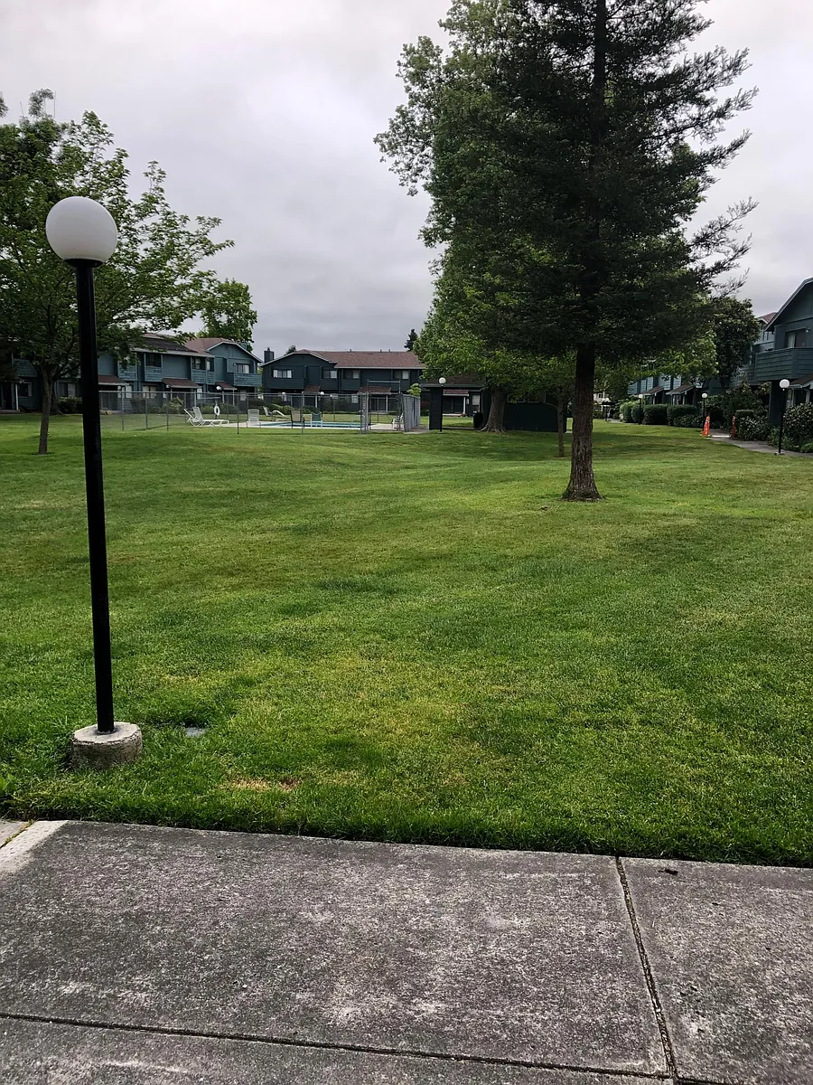 Front of unit looks onto large grassy area and pool. - 305 College View Dr