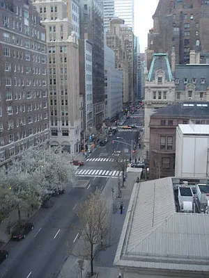 Rented by Safeguard Realty Management | media 51