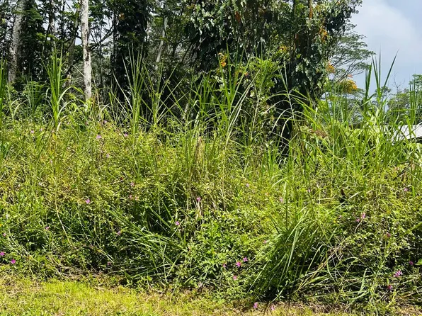Niihau Rd Lot 203, Pahoa, HI 96778