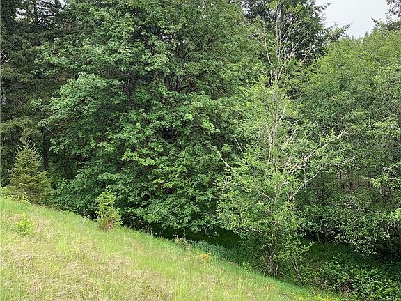 5th image of 10422 Myra Ln SE