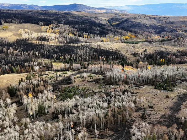 123 E Monroe Canyon Rd, Monroe, UT 84754