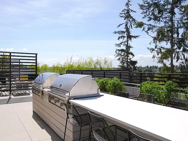 BBQ Grills
