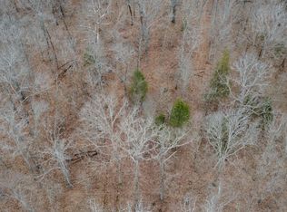 County Road 40, Cross Timbers, MO 65634