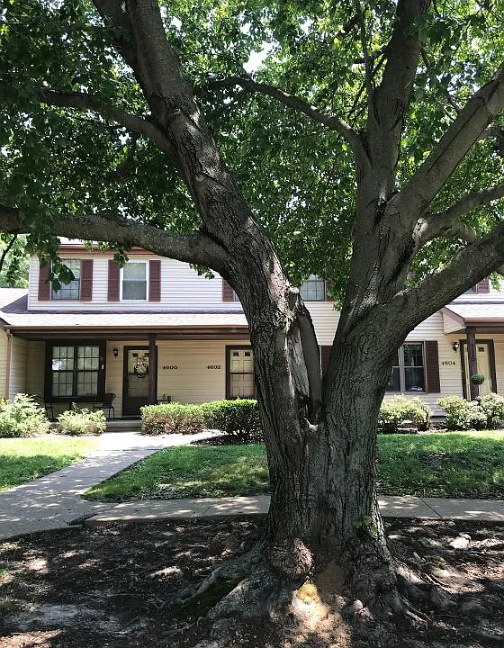 3 Utica Cir