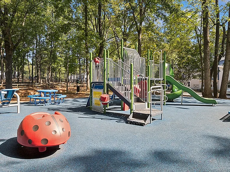 Arbor Village — Photo 29