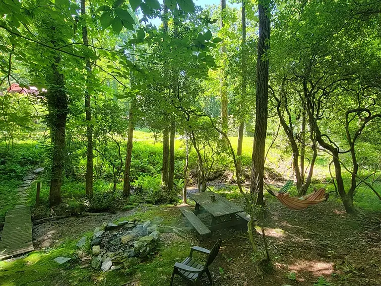 1197 Line Runner Ridge Rd — Photo 17