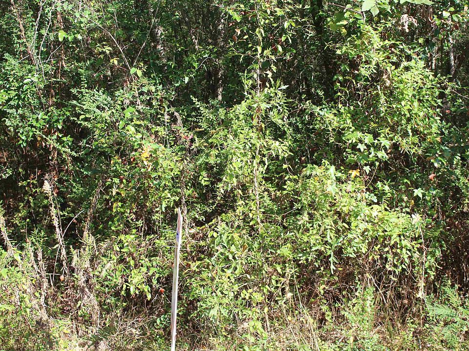 2nd image of 208 N Rice Rd