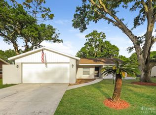 3209 Las Brisas Dr, Brandon, FL 33511