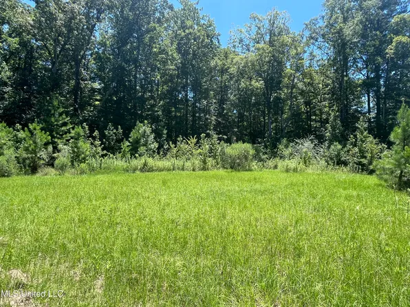 Magnolia Springs Blvd, Florence, MS 39073