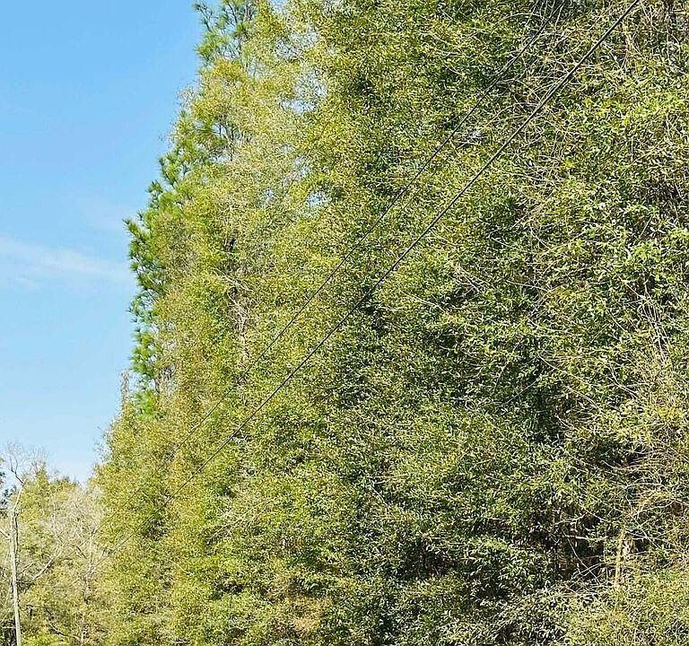 2nd image of Oakhaven Dr