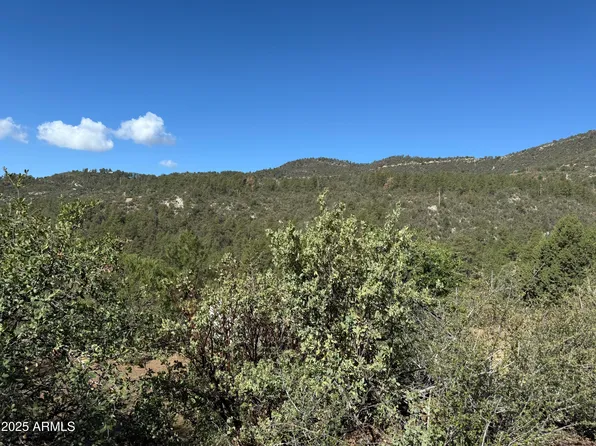 22865 S GLADIATOR MINE Road #-, Crown King, AZ 86343