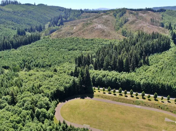 28 XX North River Road, Cosmopolis, WA 98537