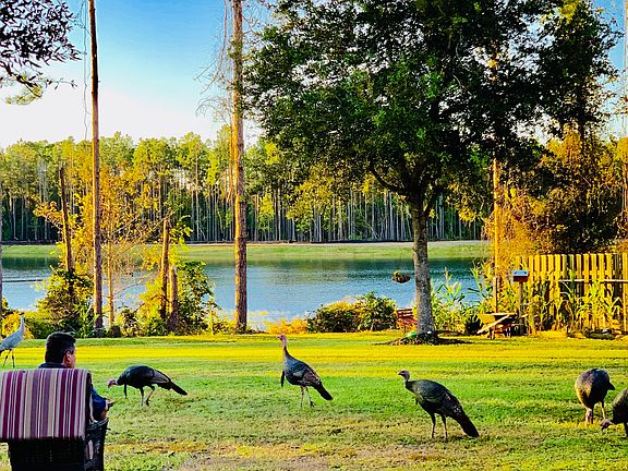 Relaxing private yard