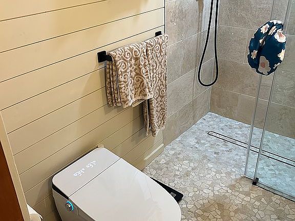 Main bath bidet toilet