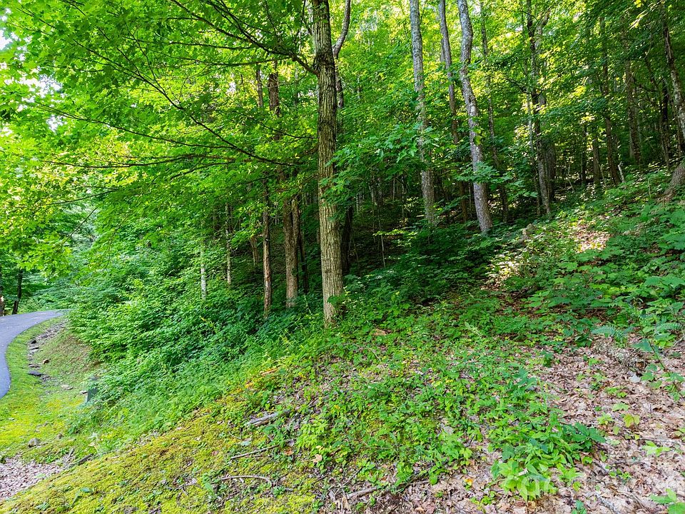 1st image of LOT 30 Finlaystone Trce