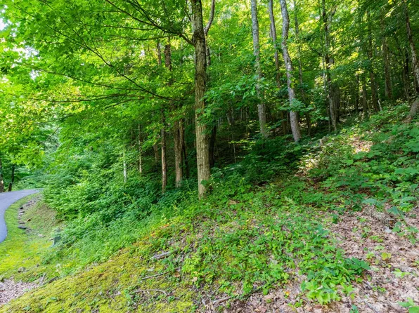 LOT 30 Finlaystone Trce, Waynesville, NC 28786