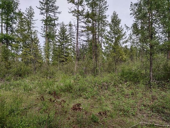5th image of X E Jump Off Rd Lot 1