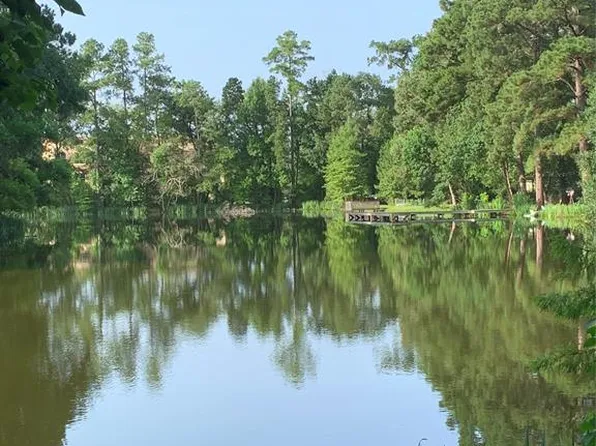 1185 Country Lane, Conroe, TX 77384