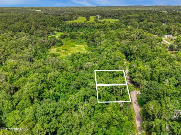 0 Fitzhugh Ave, Brooksville, FL 34601